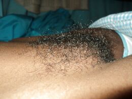 Black woman hairy pussy